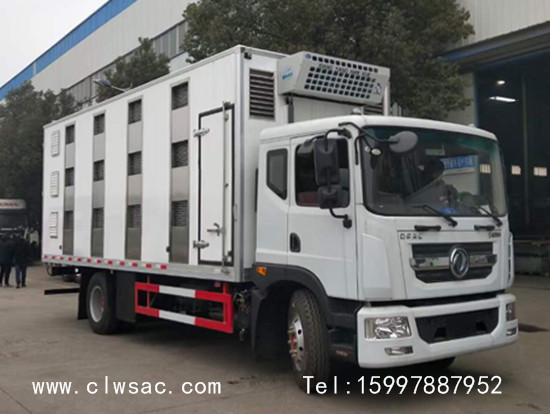 ����D9�������������䳵����