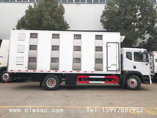 ����D9�������������䳵����