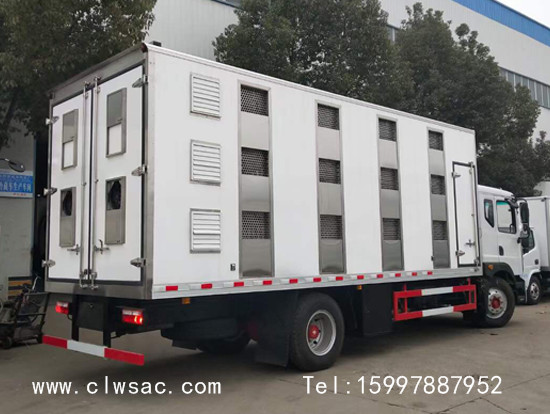 ����D9�������������䳵����