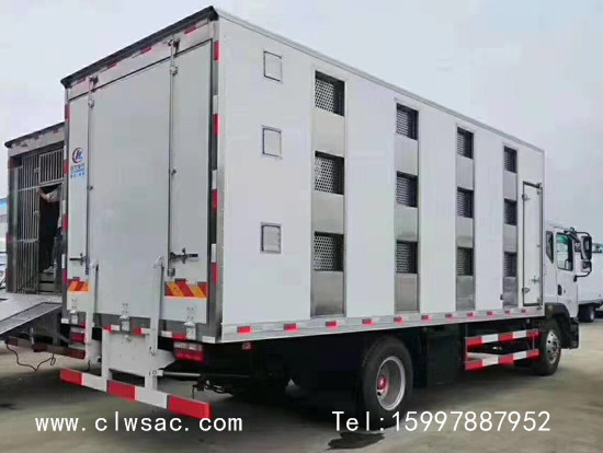 ����D9�������������䳵����