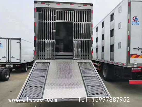 ����D9�������������䳵����