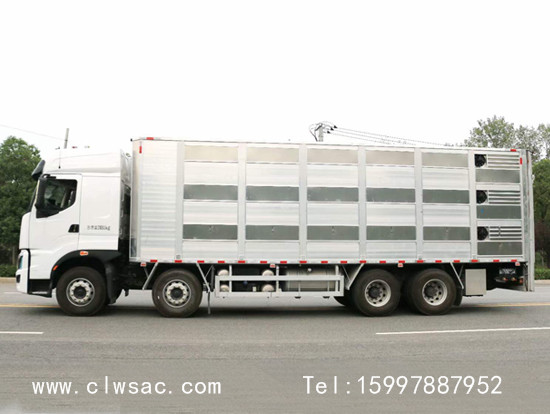 ������������8x4�������䳵����