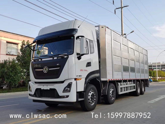 ��������8x4�������䳵����