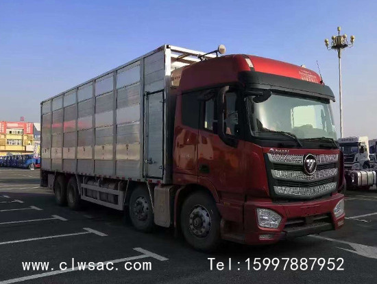 ����ŷ��8x4�������䳵����